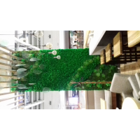 Fitostenart